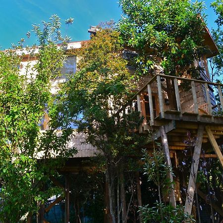 カストロ La Casa Del Arbol De Chiloeヴィラ 部屋 写真