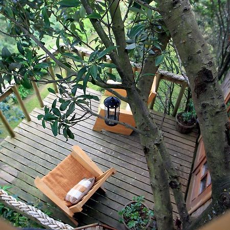 カストロ La Casa Del Arbol De Chiloeヴィラ エクステリア 写真