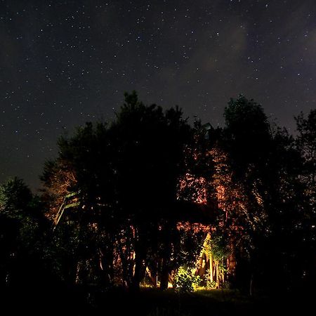カストロ La Casa Del Arbol De Chiloeヴィラ エクステリア 写真