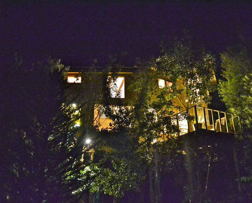 カストロ La Casa Del Arbol De Chiloeヴィラ エクステリア 写真