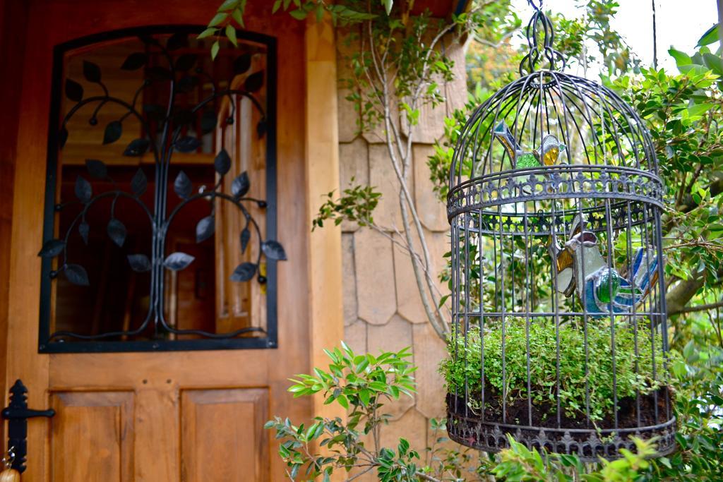 カストロ La Casa Del Arbol De Chiloeヴィラ エクステリア 写真