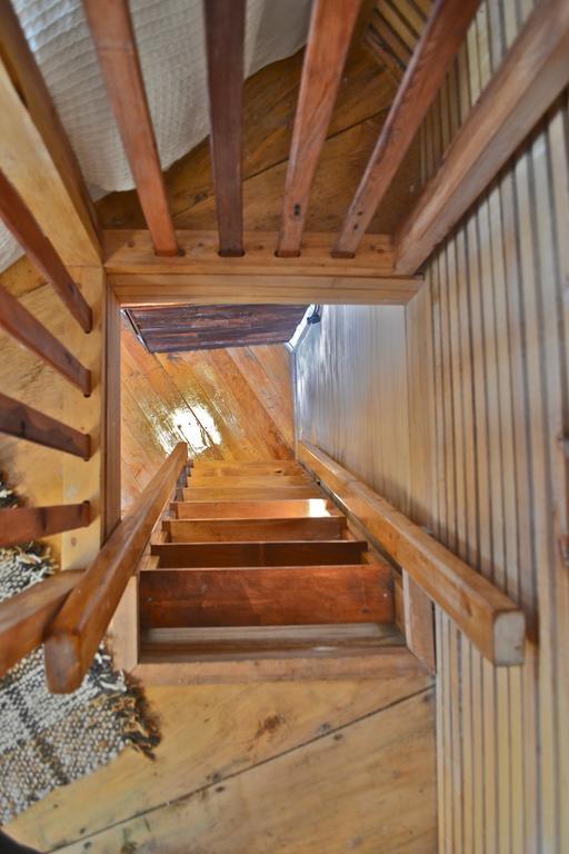 カストロ La Casa Del Arbol De Chiloeヴィラ エクステリア 写真