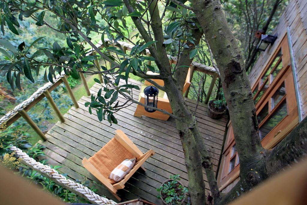 カストロ La Casa Del Arbol De Chiloeヴィラ エクステリア 写真