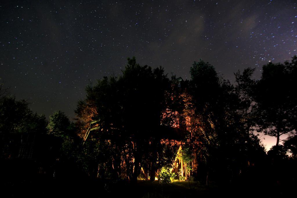 カストロ La Casa Del Arbol De Chiloeヴィラ エクステリア 写真